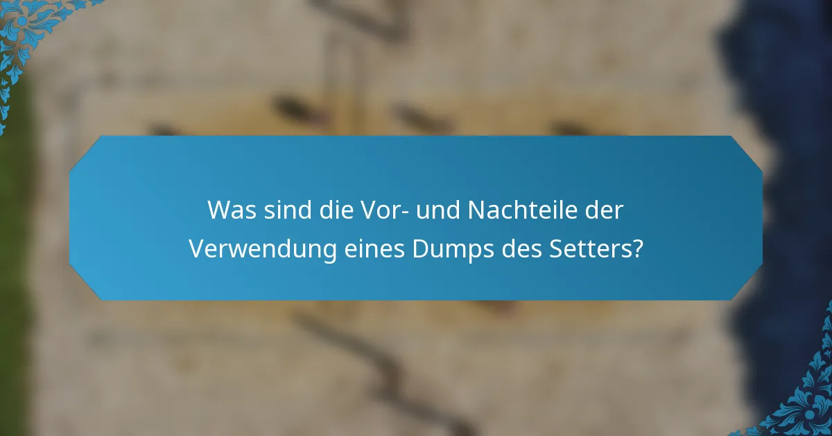 Was sind die Vor- und Nachteile der Verwendung eines Dumps des Setters?